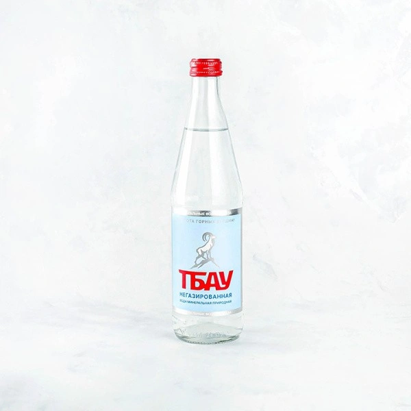 Вода питьевая ТБАУ негаз. 0,45 стекло (уп20)