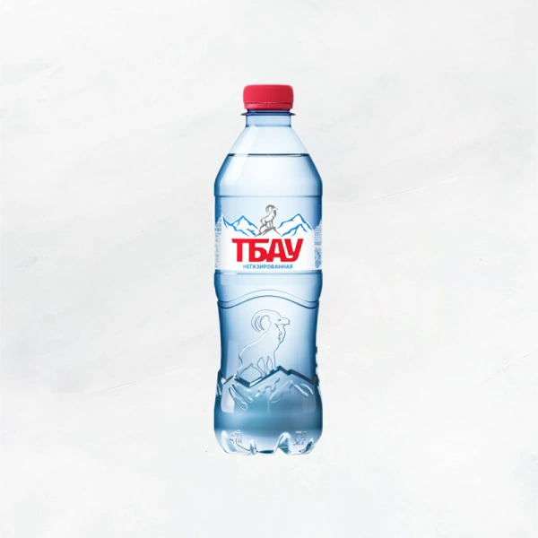 Вода питьевая ТБАУ негаз. 0,5 ПЭТ (уп12)