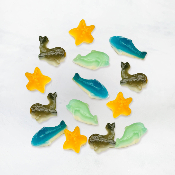 Мармелад Морское плавание весовой Красный пищевик